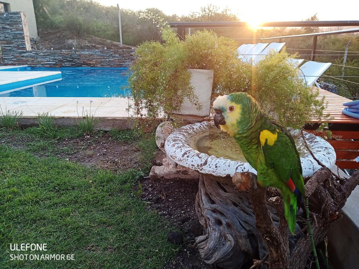 Appartement Miracampo à San Antonio de Arredondo Extérieur photo